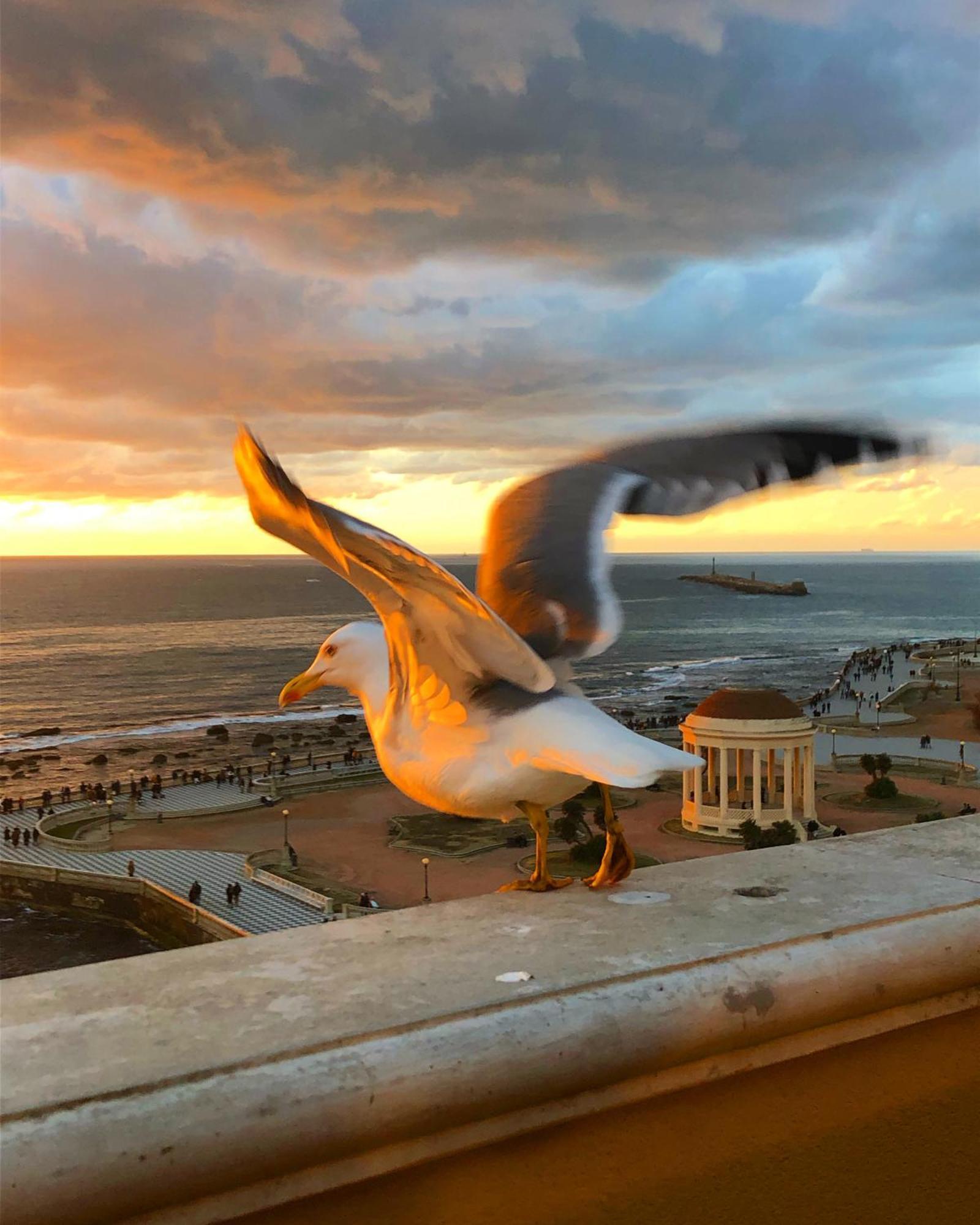 Livorno Apartment Buitenkant foto